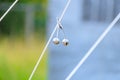 Pair of silvery bells with pin clasp hanging on a rope Royalty Free Stock Photo