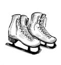 Pair of skates