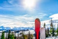 A pair of skis with blurred view on forest and snowy Tatra Mountains in winter Royalty Free Stock Photo