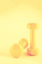 Pair of small yellow dumbbells