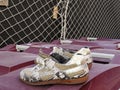 Pair of sneakers on a garbage container lid with protection mesh for the background work Royalty Free Stock Photo