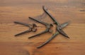 Pair of snips and pincers Royalty Free Stock Photo
