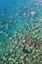 Pair of Snorkelers Explore Coral Reef in Palau Royalty Free Stock Photo