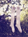 Pair of socks drying on clothesline