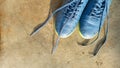 A pair of sports shoes with loose laces in the afternoon Royalty Free Stock Photo