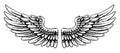 Pair of Spread Eagle or Angel Feather Wings