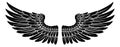 Pair of Spread Eagle or Angel Feather Wings