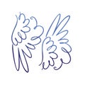 Pair of spread eagle or angel wings