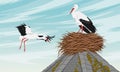 A pair of storks near the nest on the roof of an old building