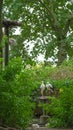 pair of storks in a nest . Black and white large storks in the reserve.Storks in the nest in the park.Group of birds Royalty Free Stock Photo