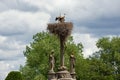 Pair of storks posing in their nest Royalty Free Stock Photo