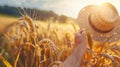 A pair of strong sunkissed arms reach to down a stalk of grain the farmers face concealed by a widebrimmed hat. . Royalty Free Stock Photo