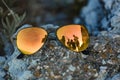 A pair of sunglasses bathed in orange light on a sea stone, with the reflection of tourists Royalty Free Stock Photo