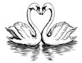 Pair of swans swimming in the pond hand drawn sketch in doodle style Royalty Free Stock Photo