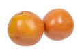 Pair of sweet and fresh oranges Royalty Free Stock Photo