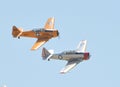 A Pair of T-6 Texan Trainers