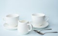 Pair of tea cups for serving