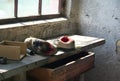 Shoes left behind inside of and abandoned building