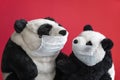 Pair of toy pandas in disposable sterile masks. Healthcare concept, quarantine and personal protection