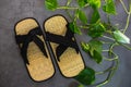 Pair of traditional japanese bamboo zori shoes. Top view of sandals with decorative greenery Royalty Free Stock Photo