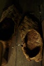 Pair of traditional Slavic wooden birch-bark shoes on the floor of a rural cabin. Bast shoes are made of tree bast or birchbark. Royalty Free Stock Photo