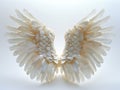 a pair of translucent white luxury wings isolated on white background,for photo shots or maternity shots ,