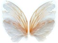 a pair of translucent white luxury wings isolated on white background,for photo shots or maternity shots ,