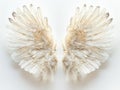 a pair of translucent white luxury wings isolated on white background,for photo shots or maternity shots ,