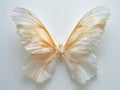 a pair of translucent white luxury wings isolated on white background,for photo shots or maternity shots ,