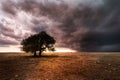 Trees and a Severe Thunderstorm on the Great Plains Royalty Free Stock Photo