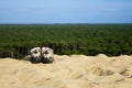 Pair of trekking shoes on the sand Royalty Free Stock Photo