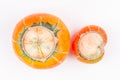 Pair of trendy ugly organic farm double mutation pumpkins on white background