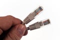 Pair of twisted Ethernet LAN network cables, in the hand of the master