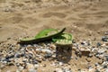 Pair, two of men`s beach slippers Royalty Free Stock Photo