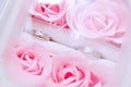 Pair of Two Rings in a Box of Pink Roses