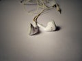 A pair of two white earphone