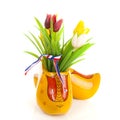 Pair of typical Dutch wooden shoes with tulips over white background