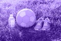 Ultra violet girl sneakers shoes, child fabric soft soccer ball and bottle of water in grass outside Royalty Free Stock Photo