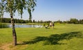 Pair of unknown golfers back view with bag in golf field with swans and ducks near lake. Golfing concept.