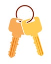 Pair of vector keys with ring. Colorful flat icon for your design.