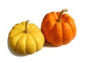 Pair of Vibrant Color Ripe Pumpkins with Stem Royalty Free Stock Photo