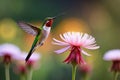 A pair of vibrant hummingbirds hovering around a cluster of exotic flowers