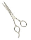 Pair vintage scissors Royalty Free Stock Photo