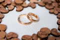 Pair wedding gold rings framed by wooden hearts on white background. Side view Royalty Free Stock Photo