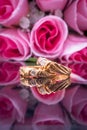 A pair of wedding rings on the glass