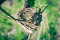 Pair of wedding rings laying in nest. Wedding decoration. Symbol of family, togetherness and love. Royalty Free Stock Photo