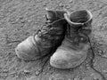 Pair of well worn work boots Royalty Free Stock Photo