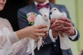 A pair of white doves in the hands of the newlyweds. Bride and groom holding doves at the ceremony Royalty Free Stock Photo