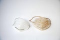 Pair of white face protection mask Royalty Free Stock Photo