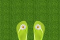 Pair Of White Flipflops In Grass